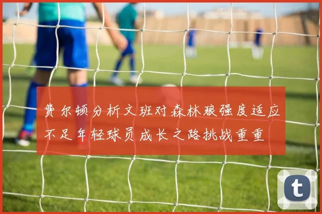 费尔顿分析文班对森林狼强度适应不足年轻球员成长之路挑战重重