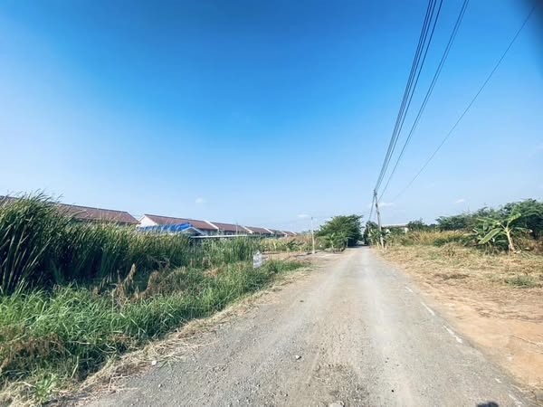 ขายที่ดินเปล่า 200 ตารางวา ซอยบงกช 53