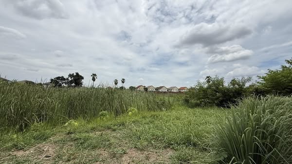 ขายที่ดิน 3 ไร่ ติดถนนเลียบคลองบางวัด