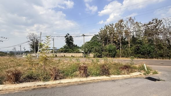 ที่ดินแบ่งขายปากช่องเขาใหญ่ ขนาด 1 ไร่