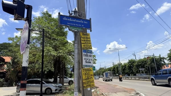 ขายที่ดิน 1-3-74 ไร่ ซอยเลี่ยงเมืองปากเกร็ด