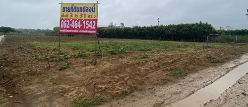 ขายที่ดิน 3-0-31 ไร่  บ้านสระนำ้ใส