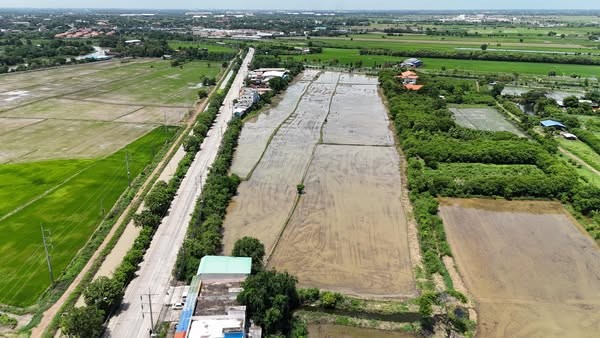 ขายที่ดิน 8 ไร่ ถนน 3013 ใกล้ตลาดบ้านโคกช้าง ติดถนนสองด้าน