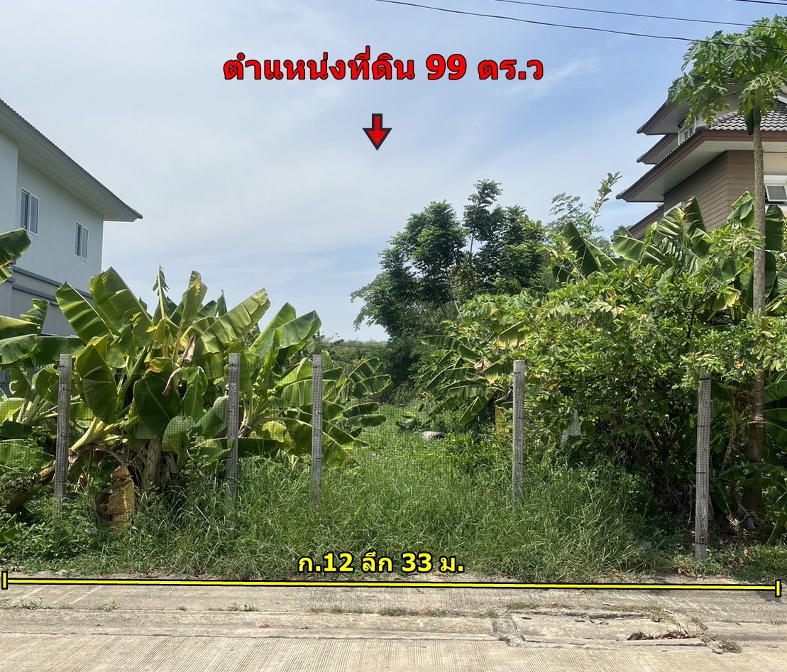 ที่ดิน 99 ตร.ว ซอยแจ้งวัฒนะ 12 หลักสี่ กรุงเทพฯ