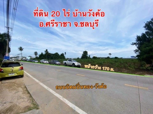 ที่ดิน20ไร่วังค้อ