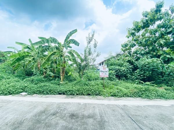 ที่ดินเปล่า ซอยเลี่ยงเมืองปากเกร็ด 26